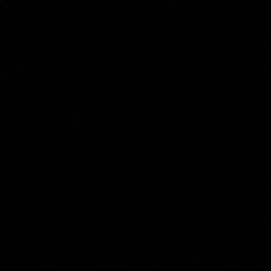 Meet your Posher, Luis